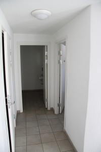 gf-toilet-4-2010
